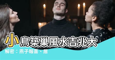 築巢 風水|小鳥築巢帶來好運？